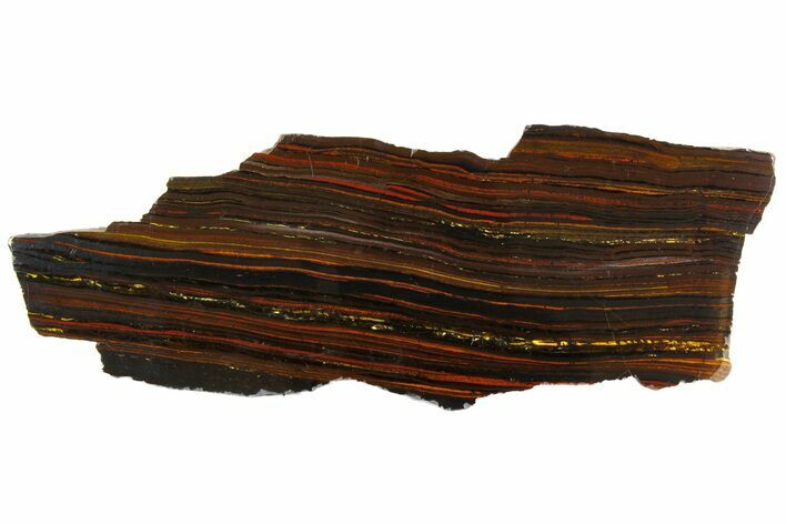 Polished Tiger Iron Stromatolite Slab - Billion Years #161894